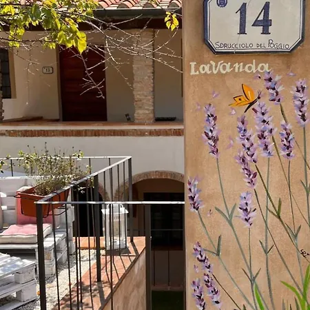 Bed & Breakfast Locanda Il Sigillo B&B E Ristorante Rosignano Marittimo