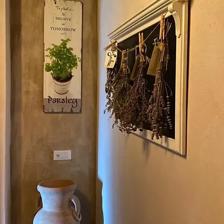 Bed & Breakfast Locanda Il Sigillo B&B E Ristorante Rosignano Marittimo